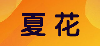 summer flower/夏花品牌logo