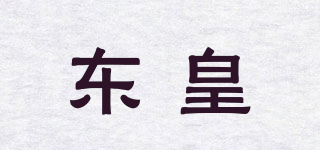 DH/東皇品牌logo