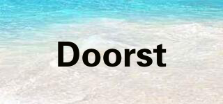 Doorst品牌logo