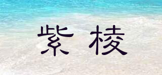紫棱品牌logo