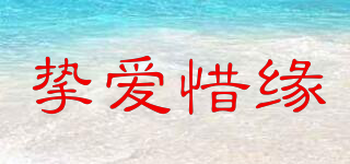 摯愛惜緣品牌logo
