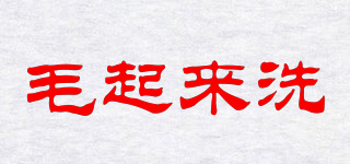 MAOWASH/毛起來洗品牌logo