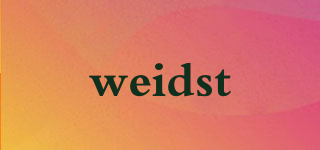 weidst品牌logo