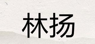 林揚(yáng)品牌logo