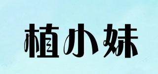 植小妹品牌logo