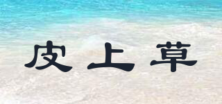 皮上草品牌logo