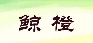 genwits/鯨橙品牌logo