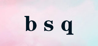 bsq品牌logo