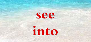 seeinto品牌logo