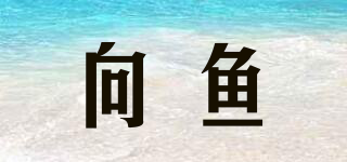 BECOMEFISH/向魚品牌logo