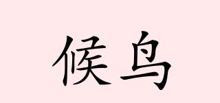 候鳥(niǎo)品牌logo
