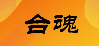 臺(tái)魂品牌logo