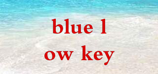 blue low key品牌logo