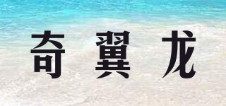 奇翼龍品牌logo
