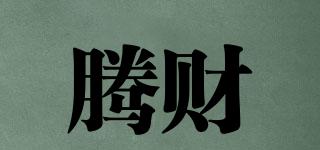 騰財品牌logo