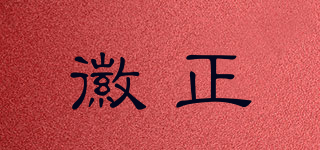 徽正品牌logo