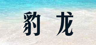 豹龍品牌logo