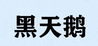 beswan/黑天鵝品牌logo