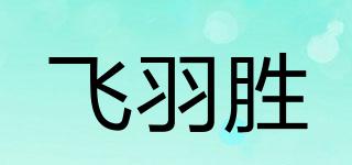 FYS/飛羽勝品牌logo
