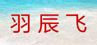 Y.CFLYING/羽辰飛品牌logo