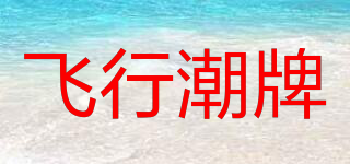 VIP/飛行潮牌品牌logo