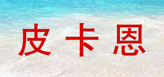 皮卡恩品牌logo