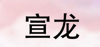 宣龍品牌logo