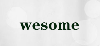 wesome品牌logo