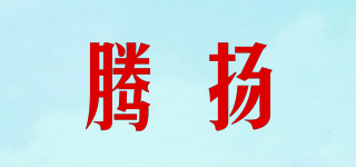 騰揚品牌logo
