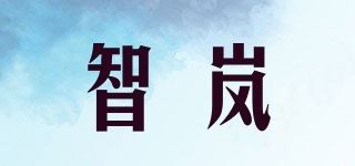 智嵐品牌logo
