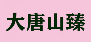 大唐山臻品牌logo