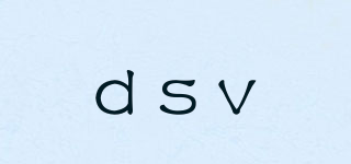 dsv品牌logo