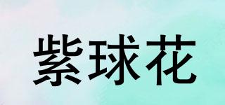 紫球花品牌logo