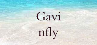 Gavinfly品牌logo