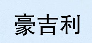 HaoGeely/豪吉利品牌logo
