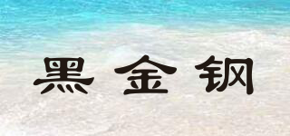 黑金鋼品牌logo