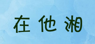 在他湘品牌logo