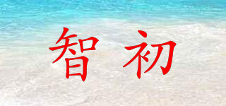 智初品牌logo