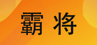 霸將品牌logo