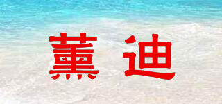 薰迪品牌logo