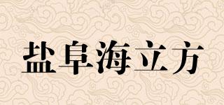 鹽阜海立方品牌logo
