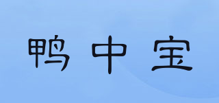鴨中寶品牌logo