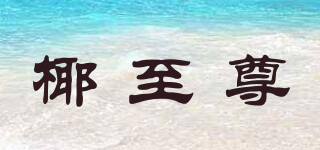 椰至尊品牌logo