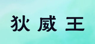 D’IIERVIITKING/狄威王品牌logo