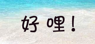 WHOLLY MOLY!/好哩!品牌logo