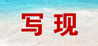 寫現(xiàn)品牌logo