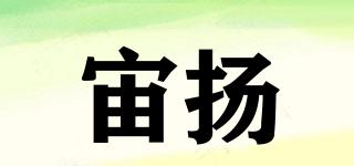 ZIOLLYIOR/宙揚品牌logo