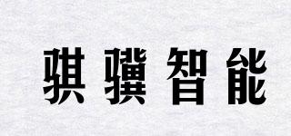 騏驥智能品牌logo
