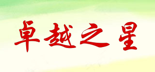 卓越之星品牌logo