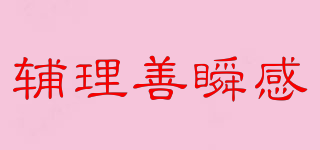 輔理善瞬感品牌logo